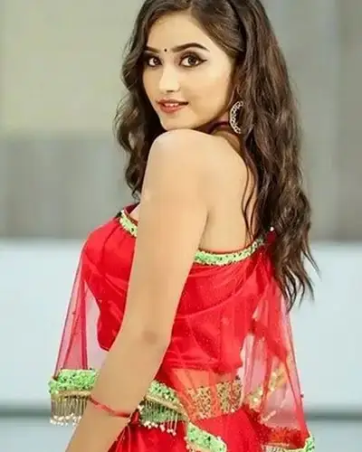 Call Girls Service Suratgarh